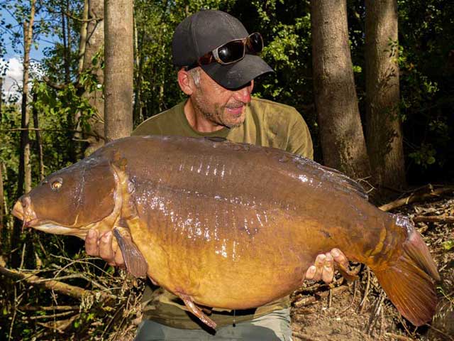 45lb mirror, SLK & Captive hooklink