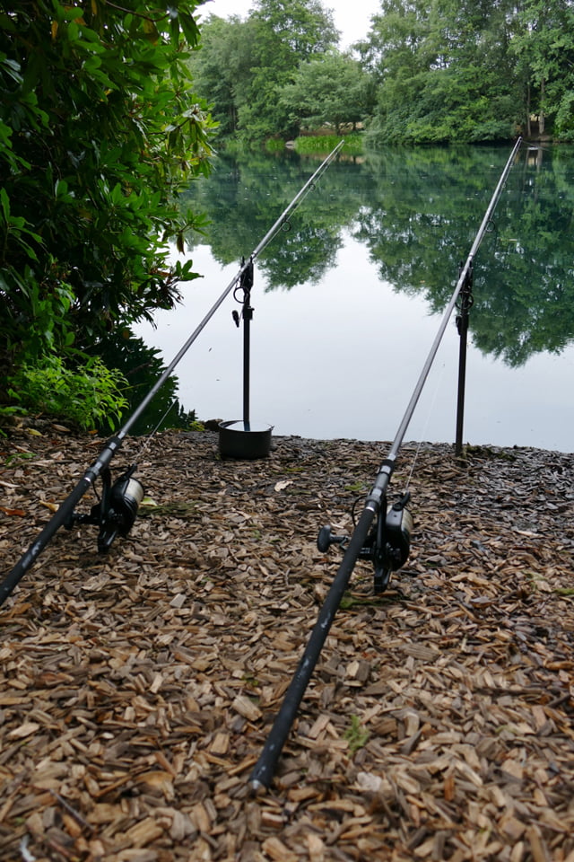 Avid Carp Extremity rods on rests