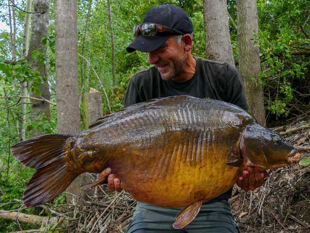 Nemo, German Gravel Pit, 50lb 12oz, SLK & Captive hooklink