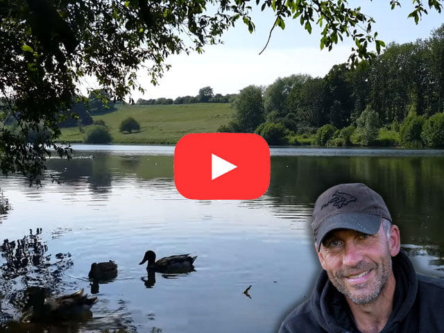 Video blog cover - june 2021